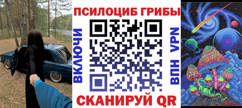 где найти Мончегорск Псилоцибиновые грибы Magic Shrooms