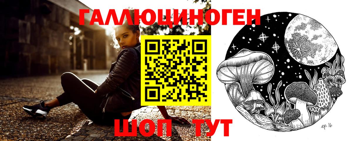 Галлюциногенные грибы Cubensis Мончегорск
