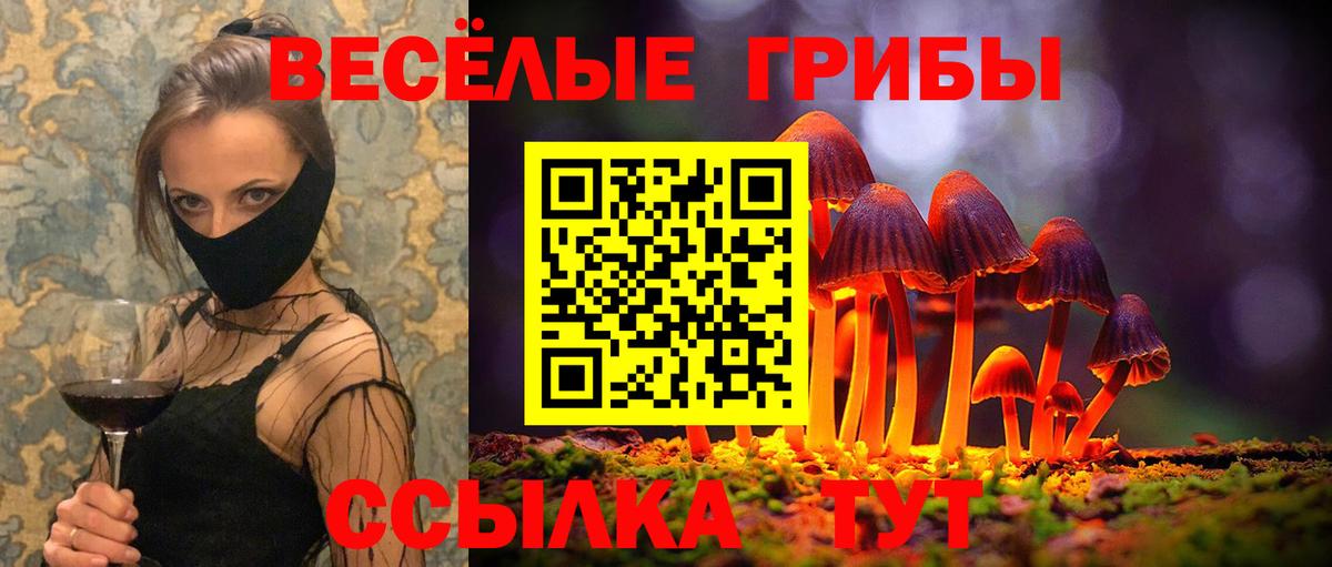купить наркоту  Вход с VPN  Мончегорск  Галлюциногенные грибы ЛСД 